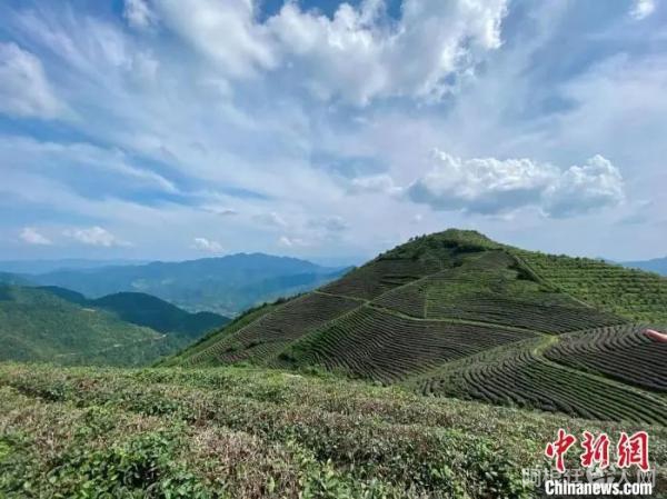 资料图： 浙江丽水缙云的蓝天白云与隐隐青山 项菁 摄