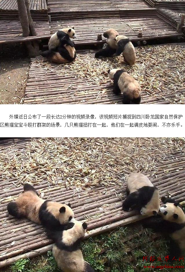 QQ截图20150219094339.png