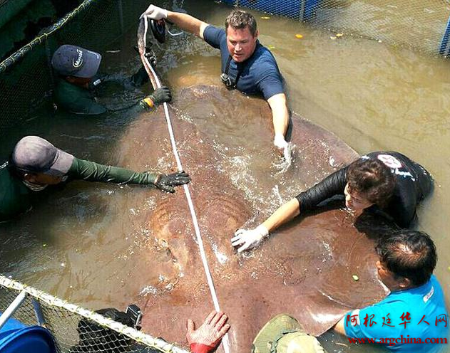 QQ截图20150313095546.png