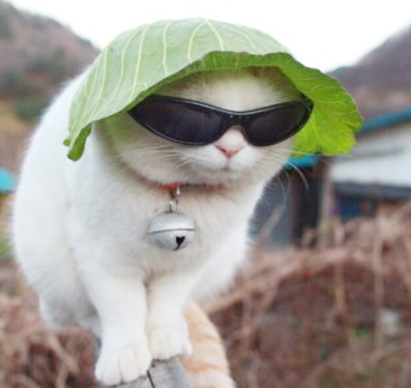 防晒