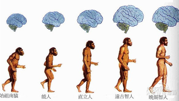 互联网 