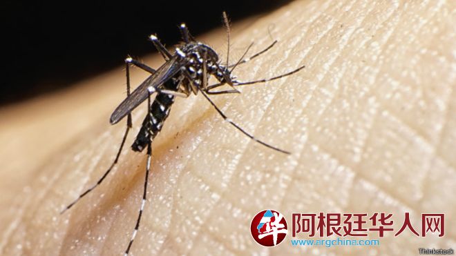 150611122654_zika_624x351_thinkstock.jpg