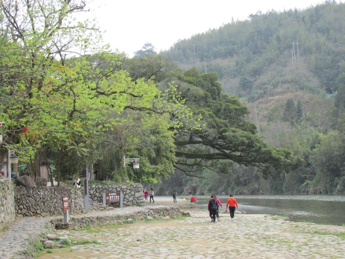 图片5.jpg
