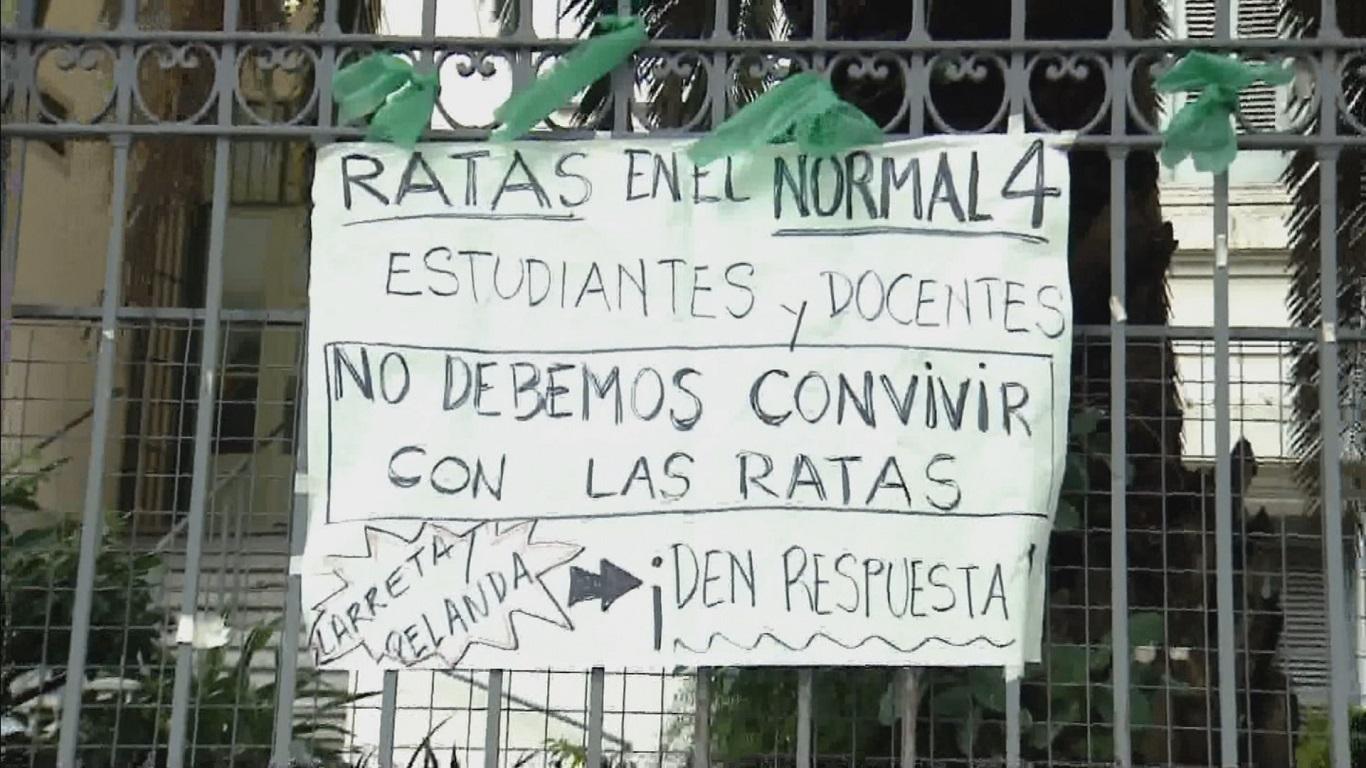 5d09394de2ce5_RATAS2.jpg