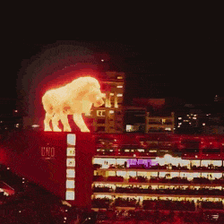 EarnestPleasingEgret-size_restricted.gif