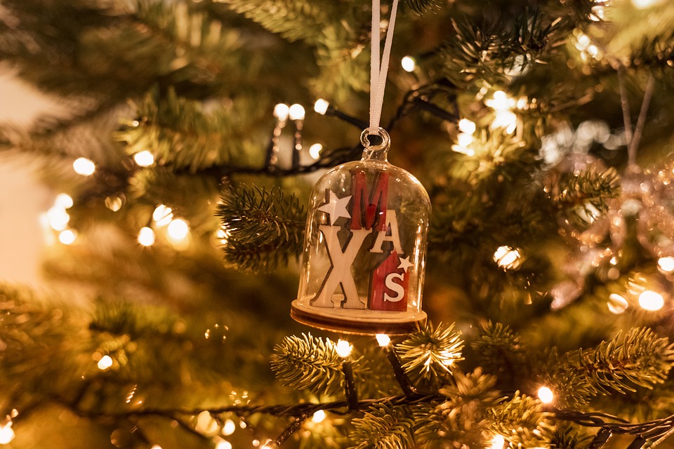 christmas-tree-3852469_960_720.jpg