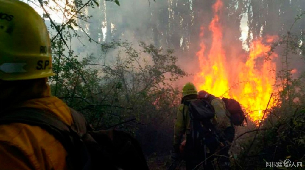 incendios-forestales-el-bolson