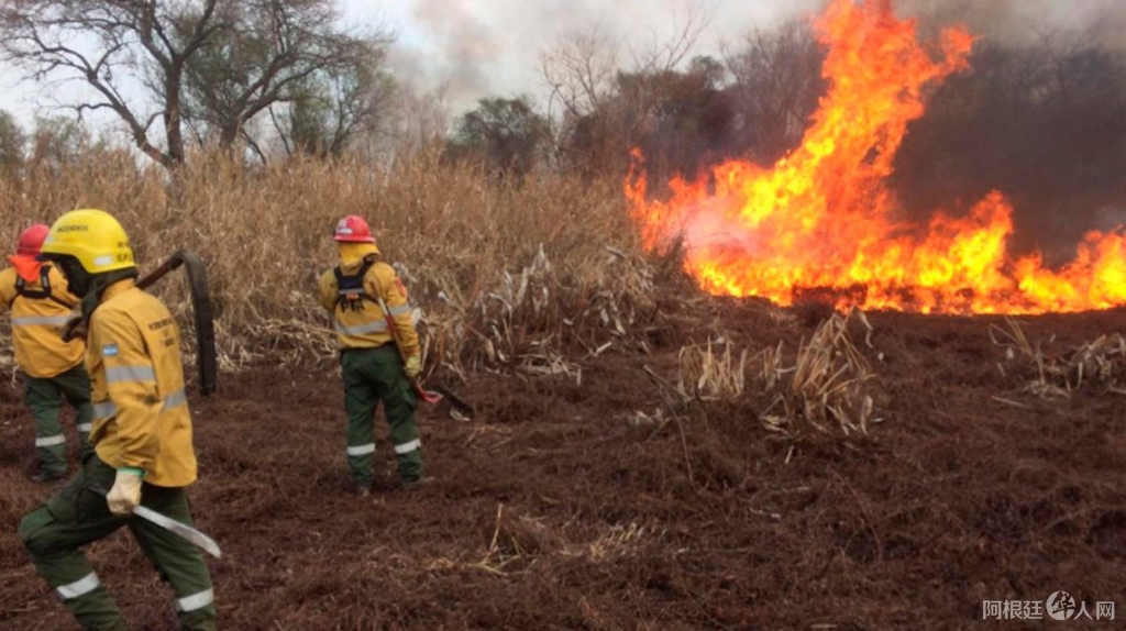 incendio-forestal-el-bolson