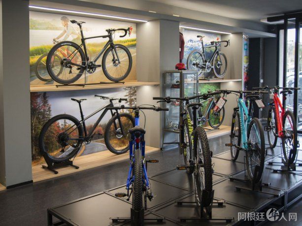 bicicletas