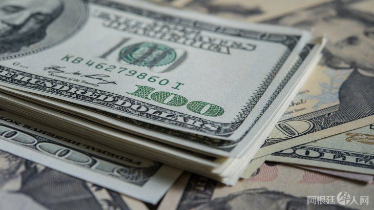dolar-dolares