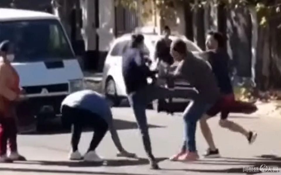 pelea