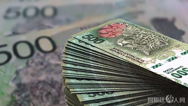 pesos-telamjpg