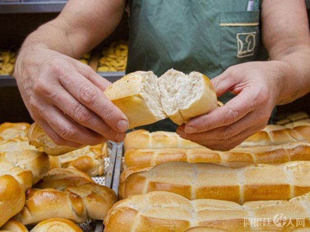 pan-panaderia-panes pan-panaderia-panes