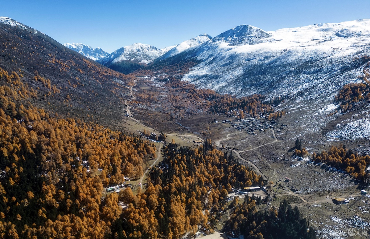 49c9ee50e84366a47457ff899ca5e0aa