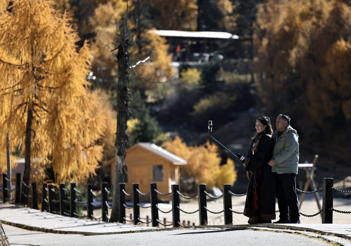 6d065847f9f97fb60879db2e26950b93